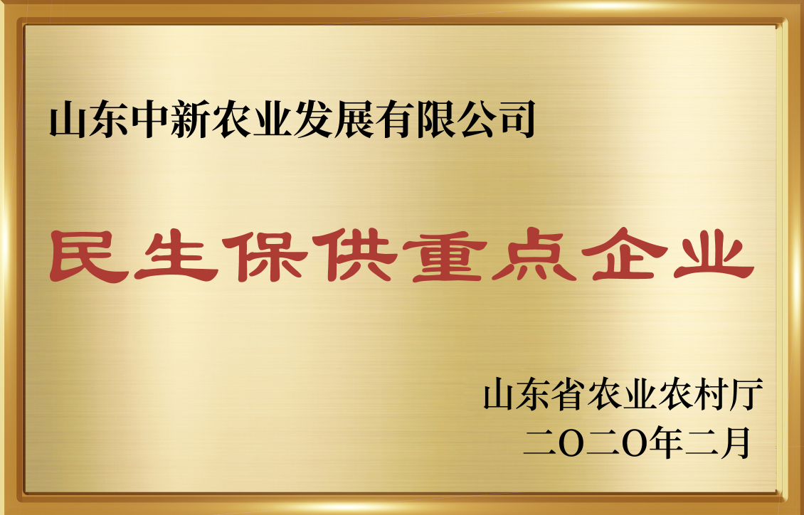 民生保供重点企业